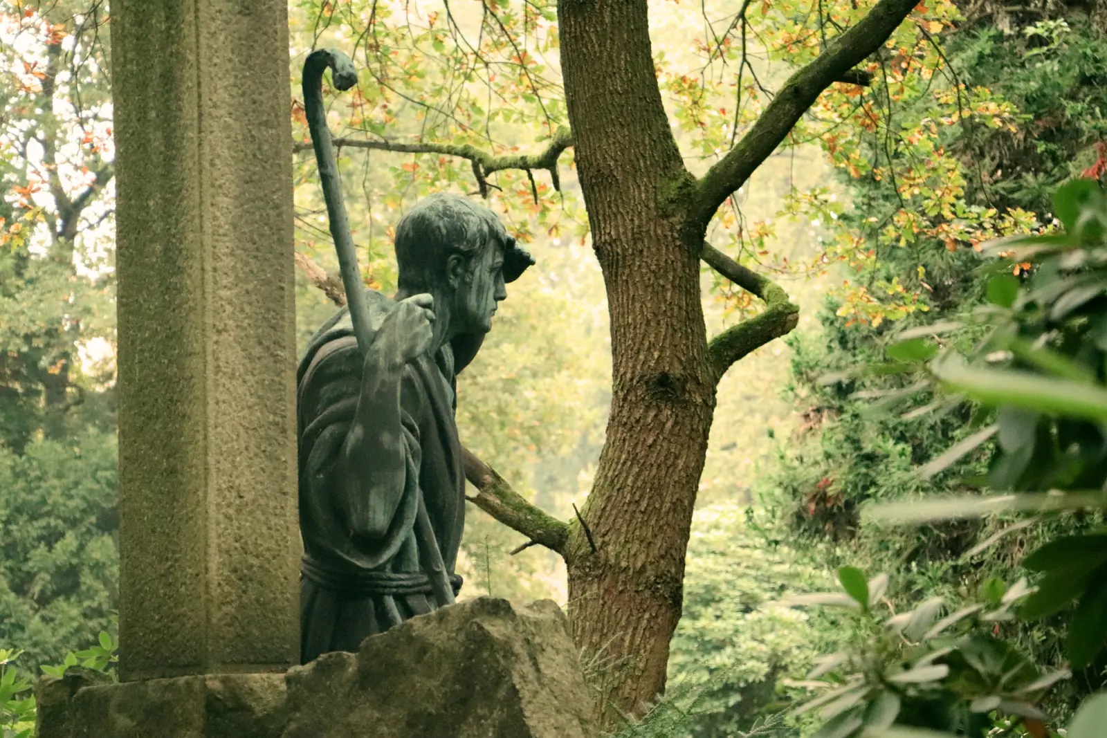 Alter Friedhof mit Grabsteinen und hohen Bäumen