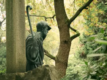 Alter Friedhof mit Grabsteinen und hohen Bäumen