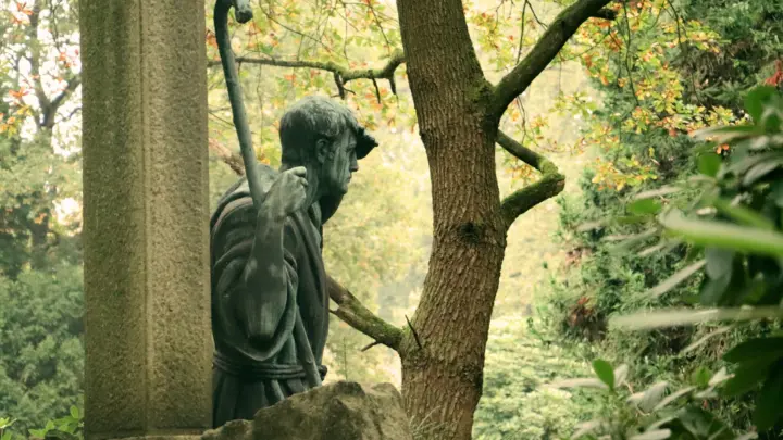 Alter Friedhof mit Grabsteinen und hohen Bäumen