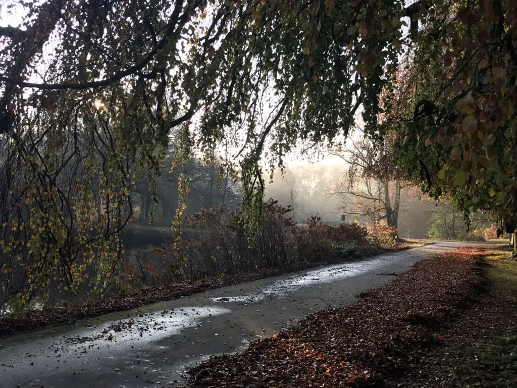 Herbstlicher Weg an einem Teich auf dem Friedhof Ohlsdorf