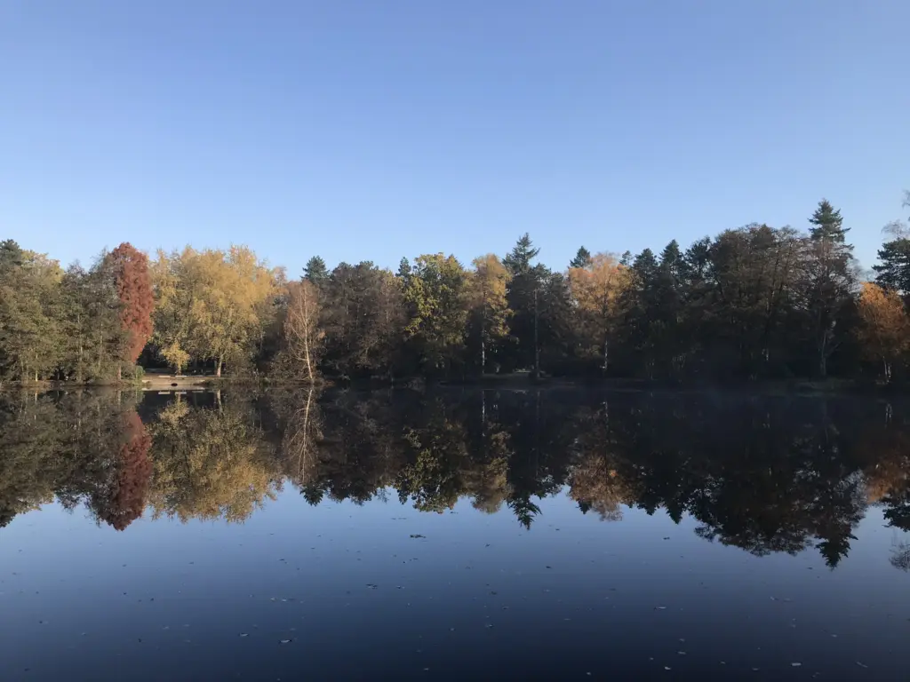 Teich im herbstlichen Friedhof Ohlsdorf