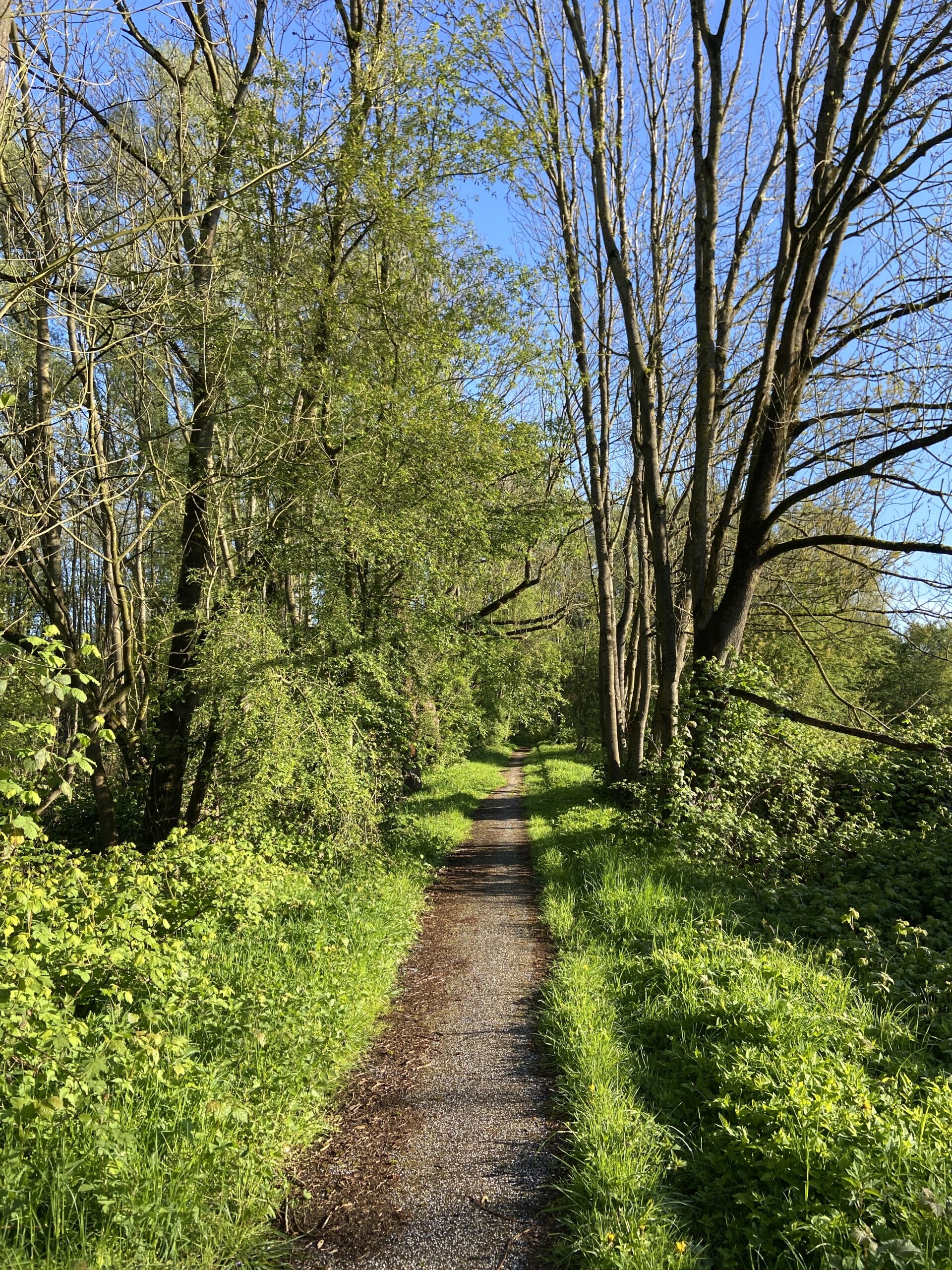 Altenwerder