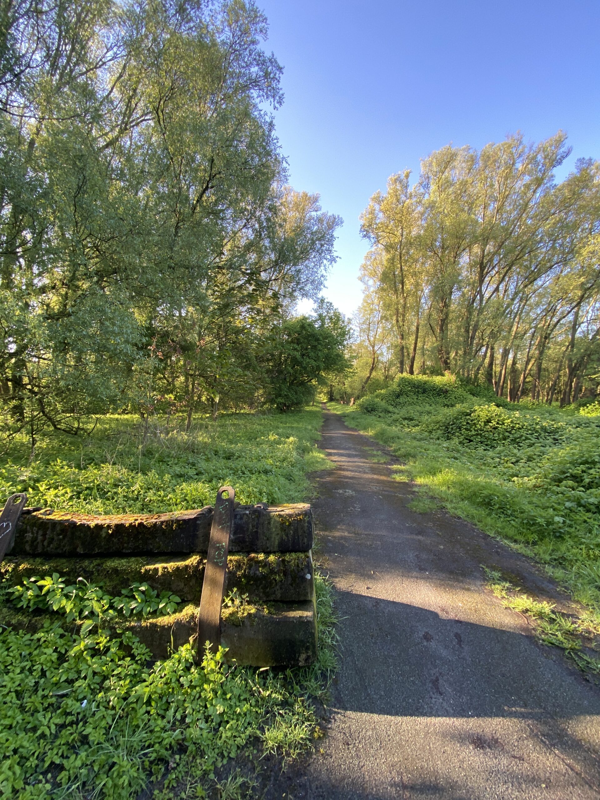 Altenwerder
