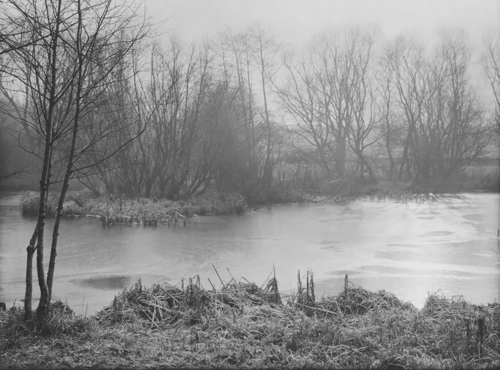 Historische Aufnahme einer Landschaft im Hamburger Stadtpark um 1920