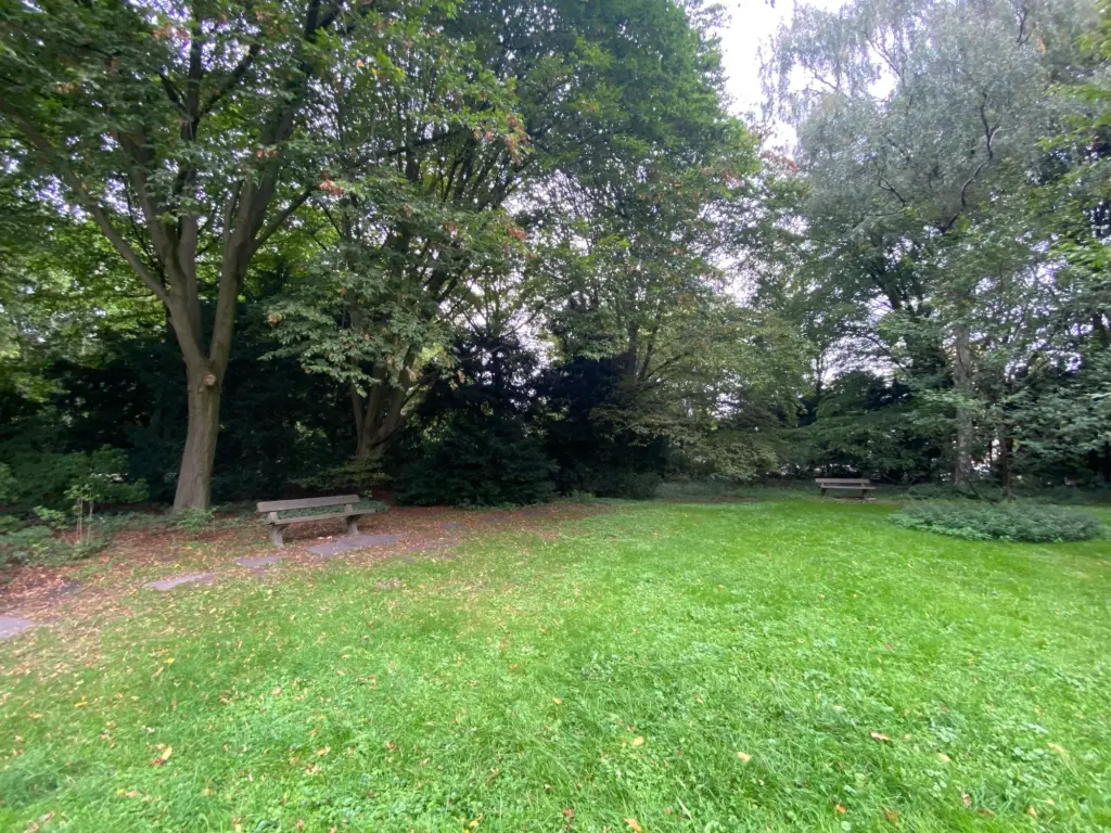 Rasenfläche mit zwei Parkbänken, umstanden von hohen Bäumen – der Standort der ehemaligen Milchwirtschaft im Hamburger Stadtpark