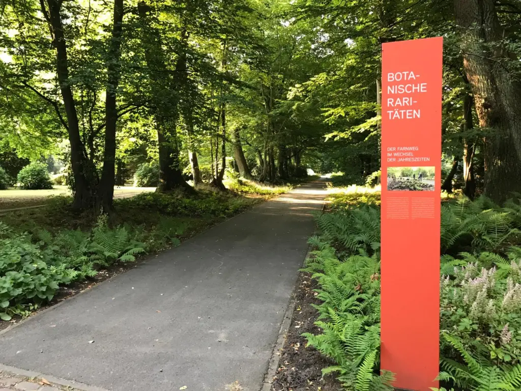 Orangefarbene Stele mit der Aufschrift „Botanische Raritäten – Der Farnweg im Wechsel der Jahreszeiten“ an einem beidseitig von Farnen gesäumten Weg